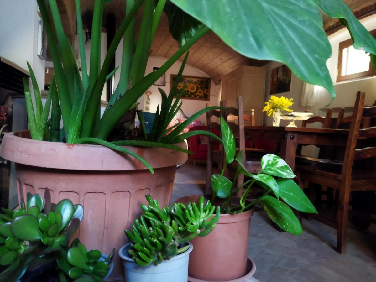 Apartment Romantic Loft Pitigliano